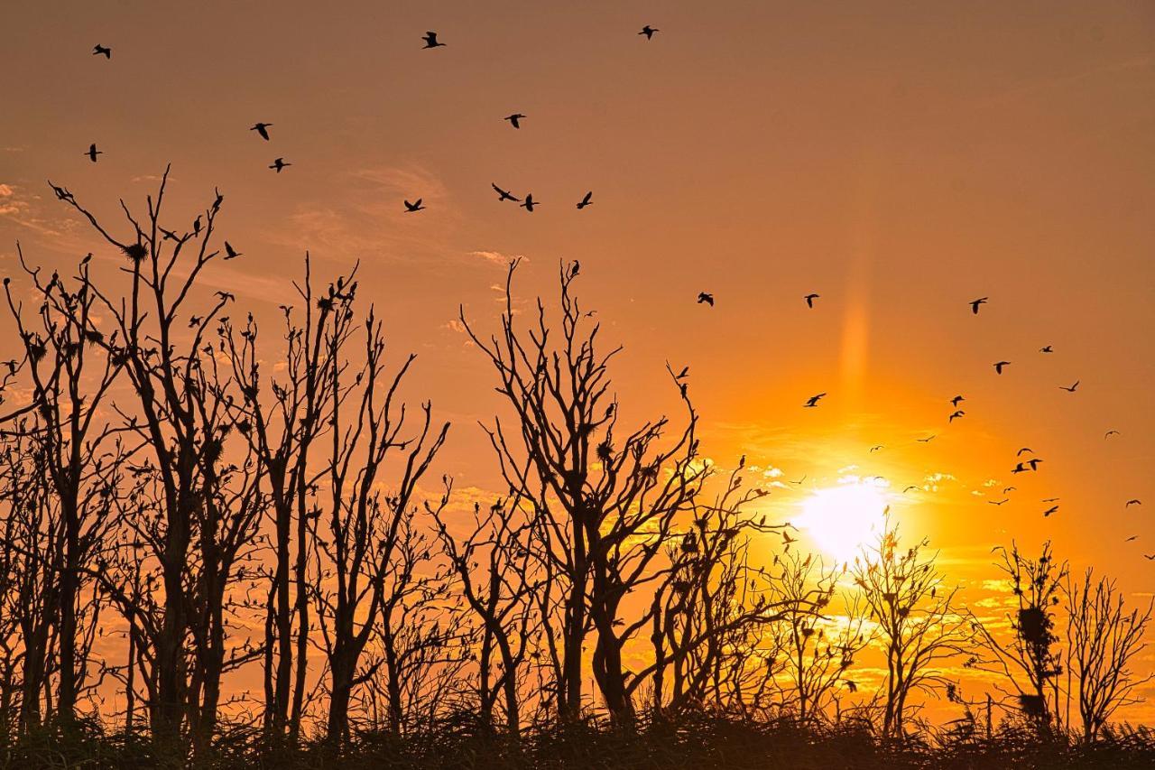 Cichata Nad Zatoka Kamien Pomorski Bagian luar foto
